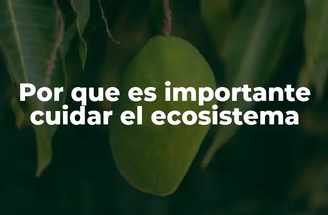 Por que es Importante Cuidar el Ecosistema