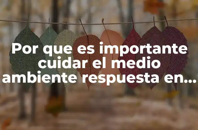 Por que es Importante Cuidar el Medio Ambiente Respuesta en Ingles