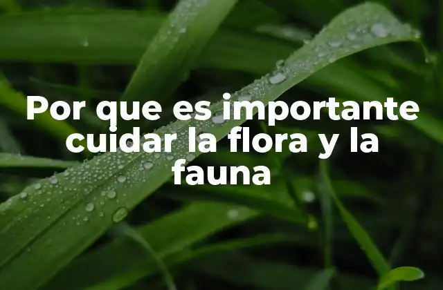 Por que es Importante Cuidar la Flora y la Fauna
