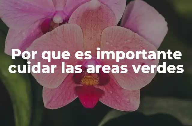 Por que es Importante Cuidar las Areas Verdes 2 La salud humana y el impacto de los espacios verdes