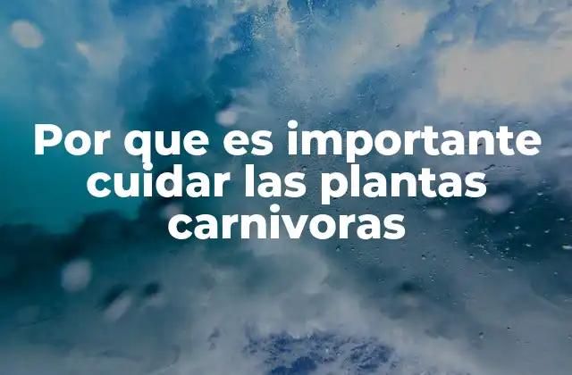 Por que es Importante Cuidar las Plantas Carnivoras