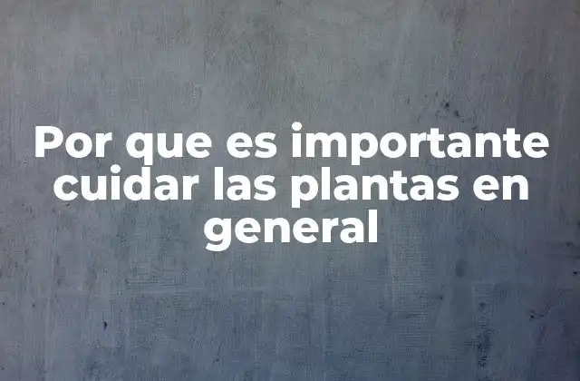 Por que es Importante Cuidar las Plantas en General