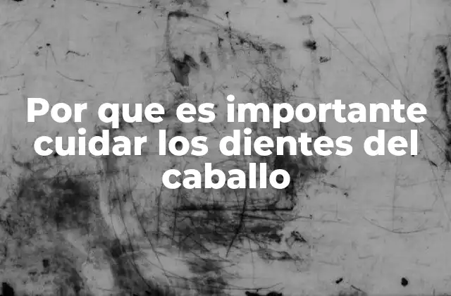 Por que es Importante Cuidar los Dientes Del Caballo 2 La relación entre la salud oral y el bienestar general del equino