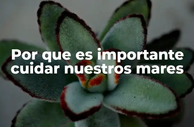 El impacto de la salud marina en la vida terrestre