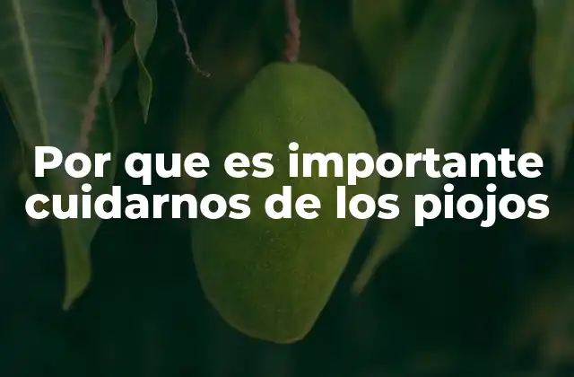 Por que es Importante Cuidarnos de los Piojos