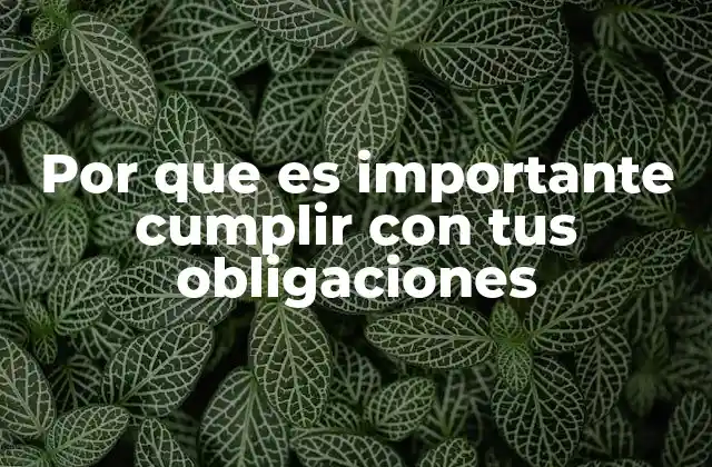 Por que es Importante Cumplir con Tus Obligaciones