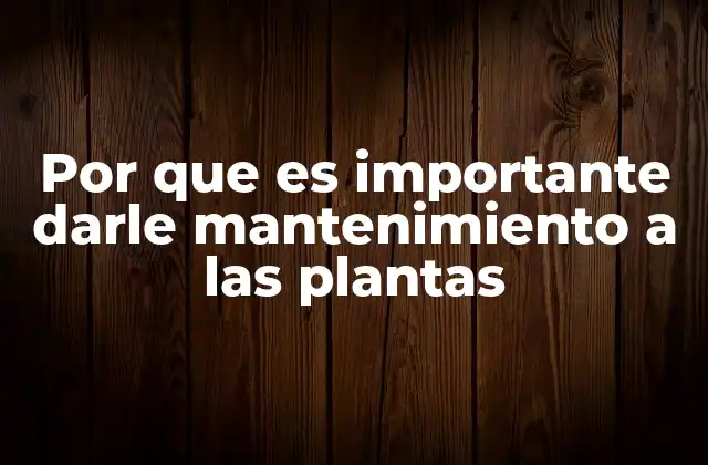 Por que es Importante Darle Mantenimiento a las Plantas