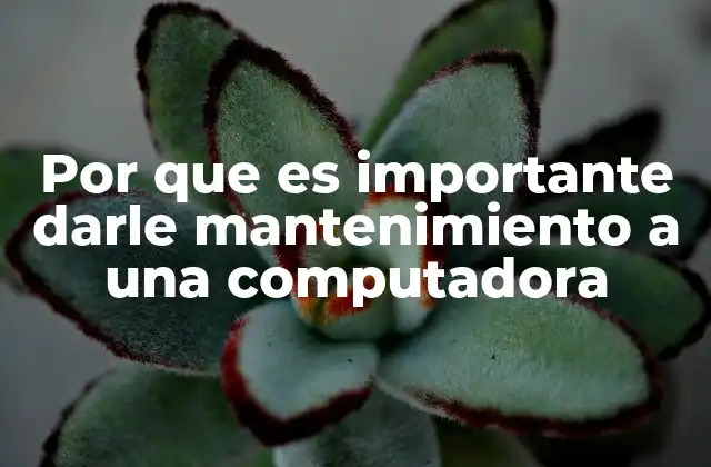 Por que es Importante Darle Mantenimiento a una Computadora