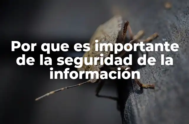 Por que es Importante de la Seguridad de la Información
