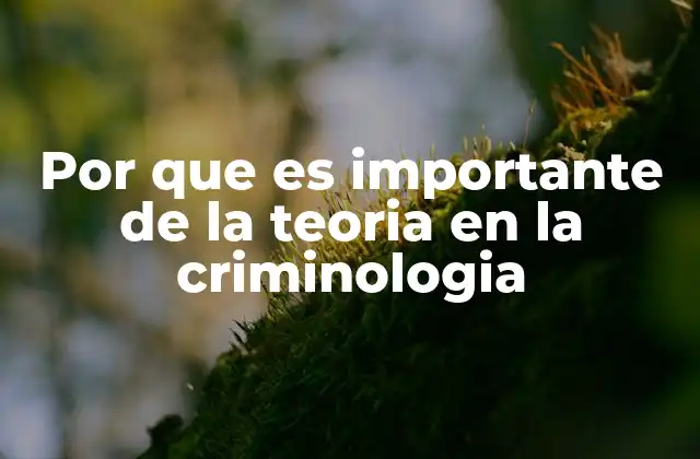 Por que es Importante de la Teoria en la Criminologia