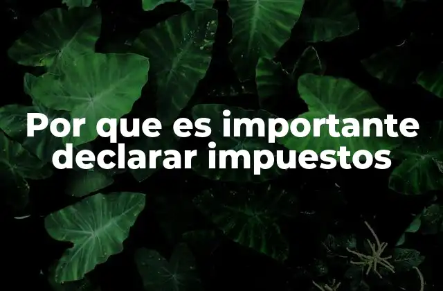 Por que es Importante Declarar Impuestos