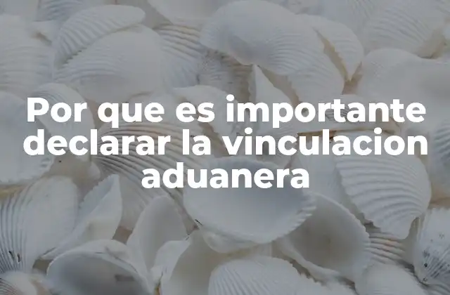 Por que es Importante Declarar la Vinculacion Aduanera