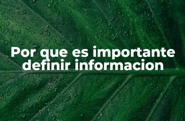 Por que es Importante Definir Informacion
