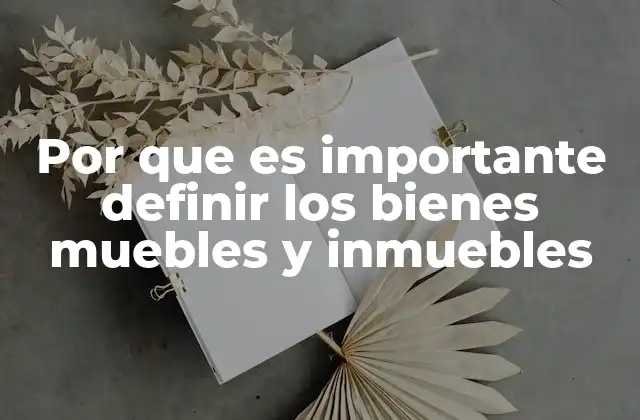 Por que es Importante Definir los Bienes Muebles y Inmuebles