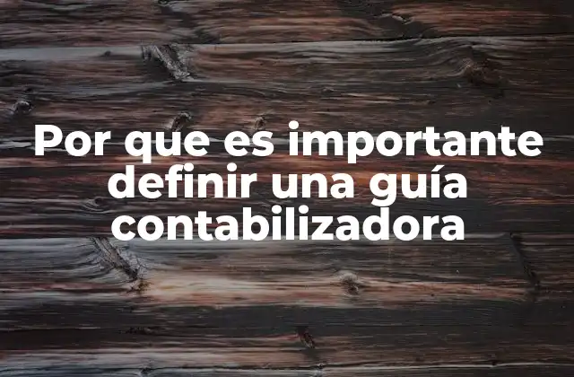 Por que es Importante Definir una Guía Contabilizadora