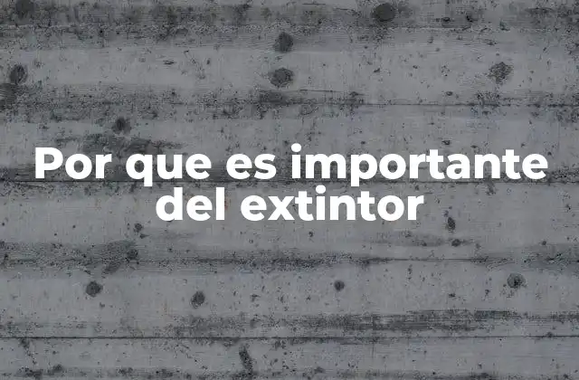 Por que es Importante Del Extintor