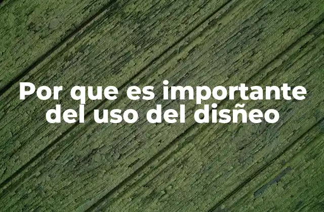 Por que es Importante Del Uso Del Disñeo