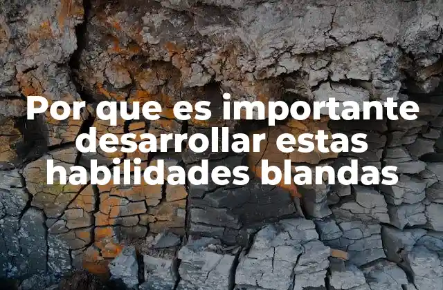 Por que es Importante Desarrollar Estas Habilidades Blandas