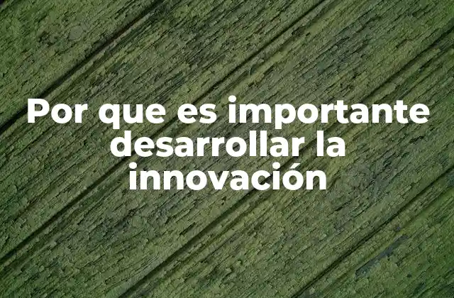 Por que es Importante Desarrollar la Innovación