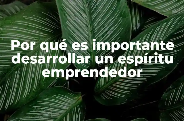 Por Qué es Importante Desarrollar un Espíritu Emprendedor