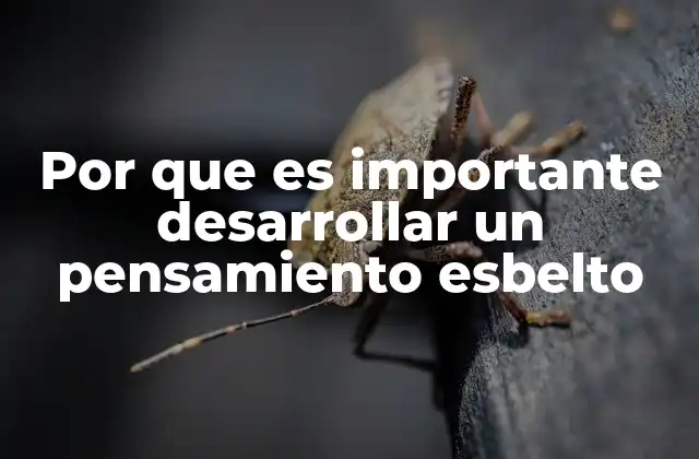 Por que es Importante Desarrollar un Pensamiento Esbelto