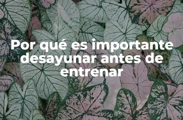 Por Qué es Importante Desayunar Antes de Entrenar