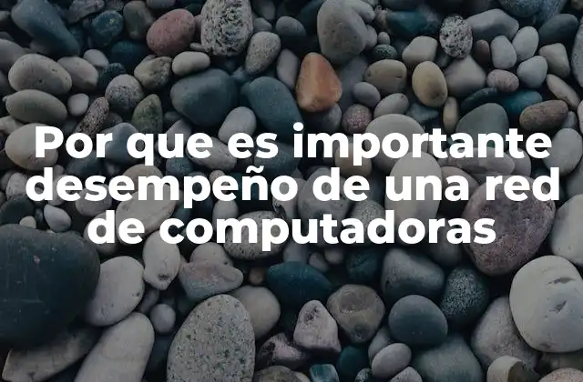 Por que es Importante Desempeño de una Red de Computadoras