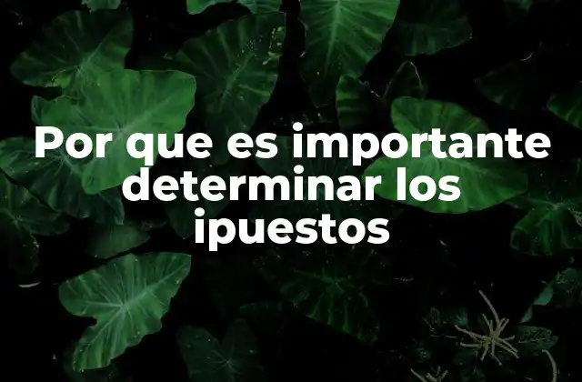 Por que es Importante Determinar los Ipuestos