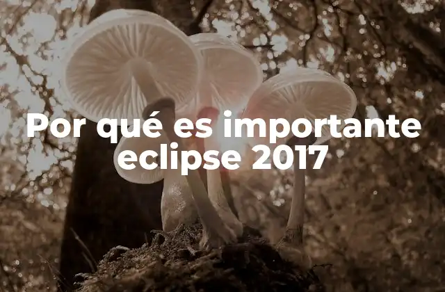 Por Qué es Importante Eclipse 2017
