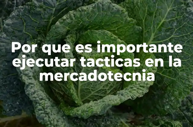 Por que es Importante Ejecutar Tacticas en la Mercadotecnia