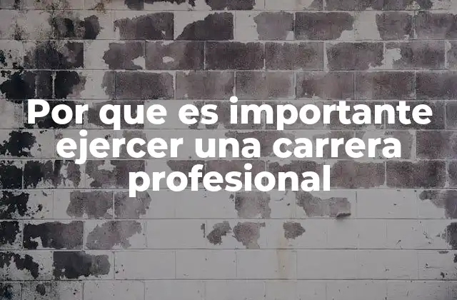 Por que es Importante Ejercer una Carrera Profesional