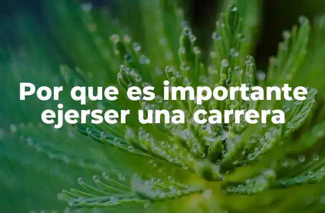 Por que es Importante Ejerser una Carrera