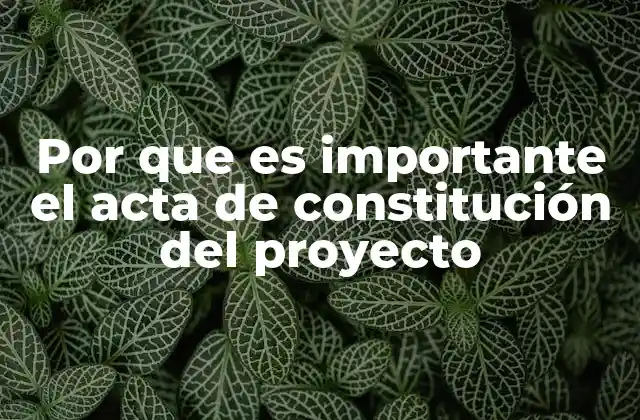 Por que es Importante el Acta de Constitución Del Proyecto