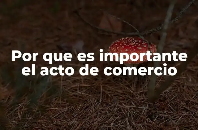 Por que es Importante el Acto de Comercio 2 El impacto del intercambio en el desarrollo económico