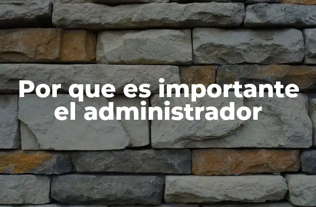 Por que es Importante el Administrador