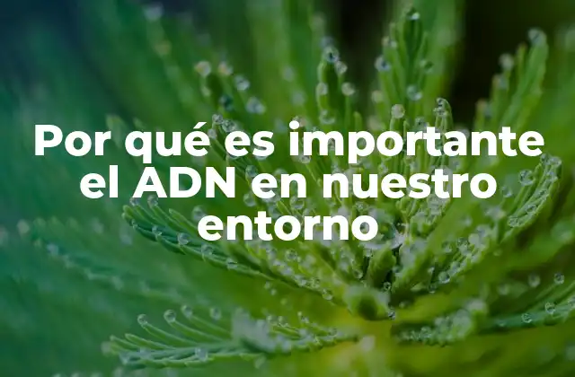Por Qué es Importante el Adn en Nuestro Entorno