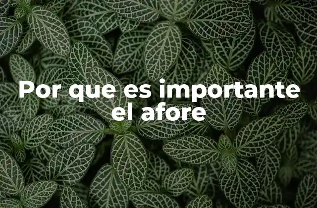 Por que es Importante el Afore