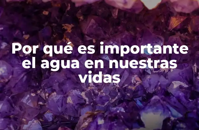 Por Qué es Importante el Agua en Nuestras Vidas