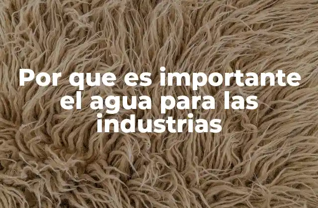 Por que es Importante el Agua para las Industrias