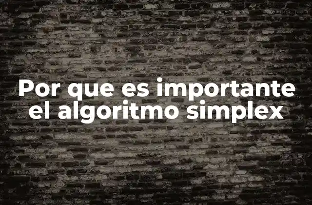 Por que es Importante el Algoritmo Simplex