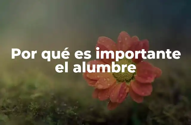 Por Qué es Importante el Alumbre 2 El impacto del alumbre en la industria y la salud pública