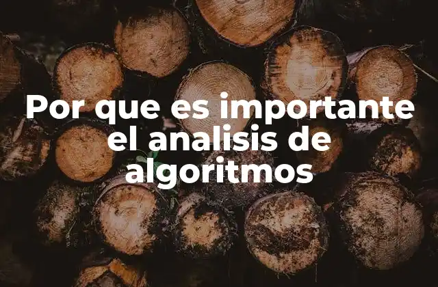 Por que es Importante el Analisis de Algoritmos