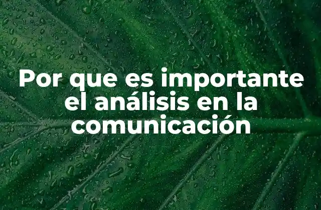 Por que es Importante el Análisis en la Comunicación