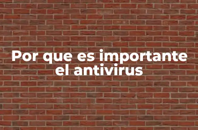 Por que es Importante el Antivirus