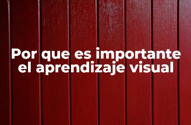 Por que es Importante el Aprendizaje Visual