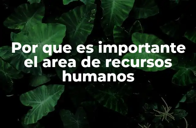 Por que es Importante el Area de Recursos Humanos