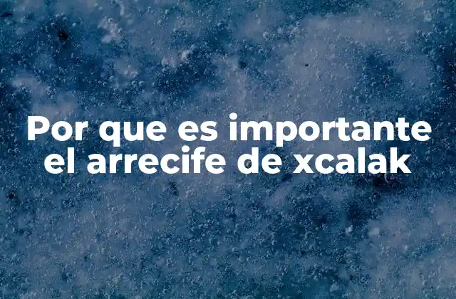 Por que es Importante el Arrecife de Xcalak