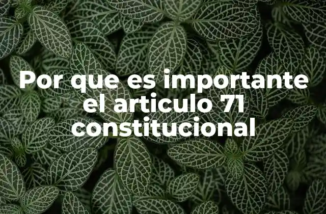 Por que es Importante el Articulo 71 Constitucional