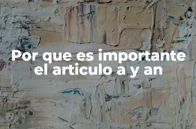 Por que es Importante el Articulo a y An