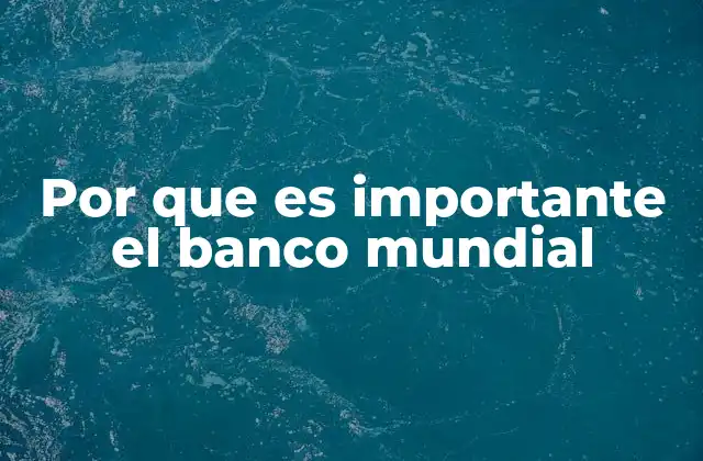 Por que es Importante el Banco Mundial